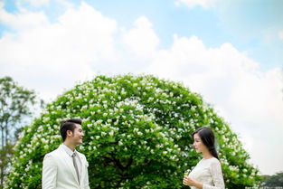 挪威森林攝影服務 捕捉自然與情感的完美交融